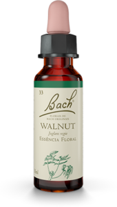 Floral Walnut Original - Florais de Bach Legítimos