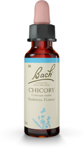 Floral Chicory Original - Florais de Bach Legítimos.