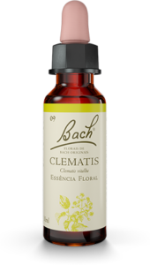 Floral Clematis Original - Florais de Bach Legítimos