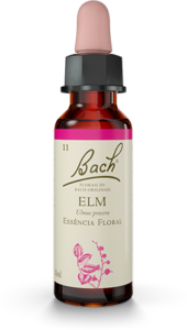 Floral Elm Original - Florais de Bach Legítimos.