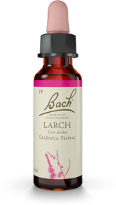 Floral Larch Original - Florais de Bach Legítimos