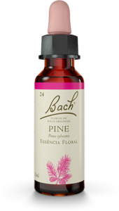Floral Pine Original - Florais de Bach Legítimos