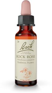 Floral Rock Rose Original - Florais de Bach Legítimos