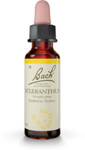 Floral Scleranthus Original - Florais de Bach Legítimos