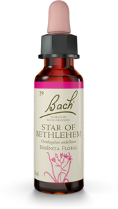 Floral Star of Bethlehem Original - Florais de Bach Legítimos