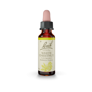 Floral White Chestnut Original - Florais de Bach Legítimos