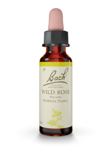 Floral Wild Rose Original - Florais de Bach Legítimos