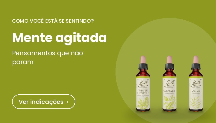 Florais de Bach para mente agitada: White Chestnut, Clematis e Olive